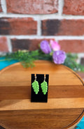Fern